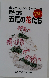 信州白馬  五竜の花たち