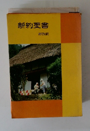 新約聖書 新改訳