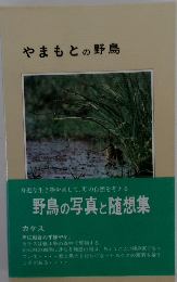 やまもとの野鳥