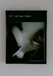 鳥類　Life Nature Library