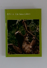 南アメリカ Life Nature Library
