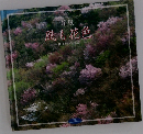 箱根 風も花色　辻満芳雄写真集