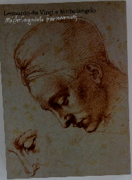 Leonardo da Vinci e Michelangelo