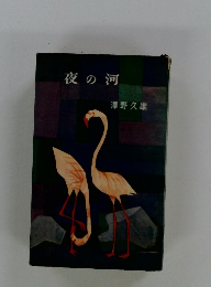 夜の河