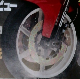 ライディングスポーツ　No.152　1995年9月号