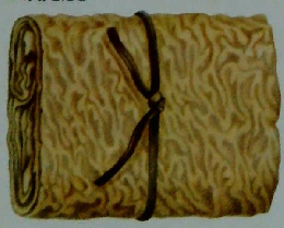 COOK 5　料理全集  豆腐と豆の料理