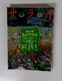 サライ　7月5日