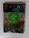 サライ　7月5日