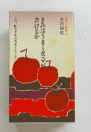 きみはうまく文章が書けるか