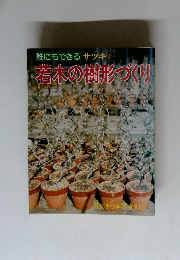 誰にもできるサツキ 若木の樹形づくり