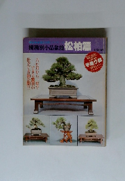 樹種別小品盆栽 松柏篇