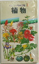 ポケット科学図鑑 1　植物