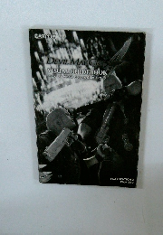 デビルメイクライ4 ビジュアル攻略ガイドブック PLAYSTATION 3