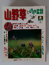 山野草とミニ盆栽　1998年秋号