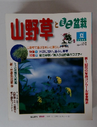 山野草とミニ盆栽　1998年夏号　Vol.9