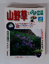 山野草とミニ盆栽　1997年夏号　vol.3