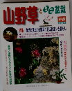 山野草とミニ盆栽　1997年早春号