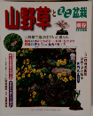 山野草とミニ盆栽　1997年