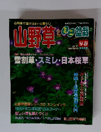 山野草とミニ盆栽　1999年早春号　vol.12