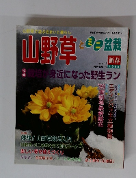 山野草とミニ盆栽　1999年新春号　Vol.11