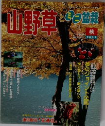 山野草とミニ盆栽　2001年秋号　vol.28