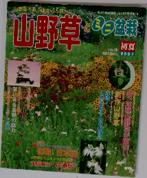 山野草とミニ盆栽　2001年初夏号　vol.26