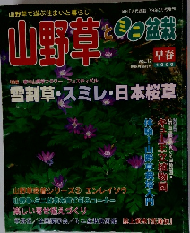 山野草とミニ盆栽　1999年早春号　Vol.12