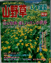 山野草とミニ盆草　1999年陽春号　Vol.43