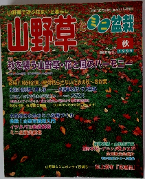 山野草とミニ盆栽　1999年秋号　Vol.16