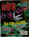 山野草とミニ盆栽　2000年早春号　Vol.18