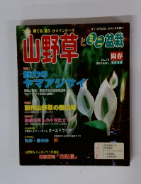 山野草とミニ盆栽　2000年陽春号　Vol.19