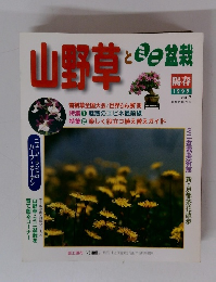山野草とミニ盆栽　1998年陽春号