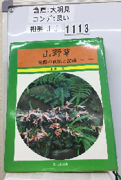 山野草　実際の栽培と記録