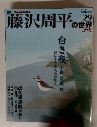 藤沢周平の世界　29　2007年6月10日号