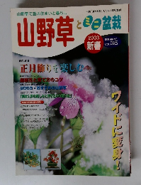 山野草で遊ぶ住まいと暮らし 山野草　2003年新春号　Vol.35