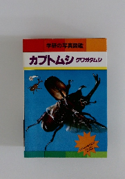 カブトムシ クワガタムシ