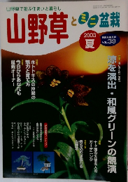 山野草　2003年夏
