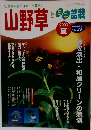 山野草　2003年夏