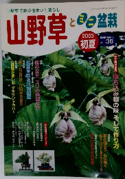 山野草　平成15年7月1日発行　Vol.38