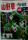 山野草　平成15年7月1日発行　Vol.38