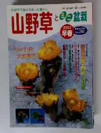 山野草とミニ盆栽　２００３年早春号　Vol.36