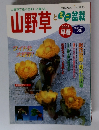 山野草とミニ盆栽　２００３年早春号　Vol.36