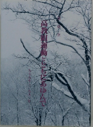 
日本の古本屋
高教組運動とともにあゆんで : 一九七九年 一九九二年