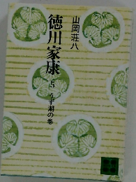 徳川家康　5　うず湯の巻