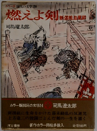 燃えよ剣 新選組血風録