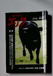 エノク　　2019年2月号　431号