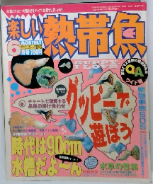 楽しい熱帯魚　6月号