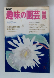 趣味の園芸　8　　ムクゲの新相ざし