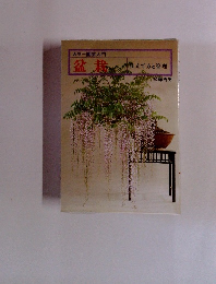 盆栽  立て方と管理