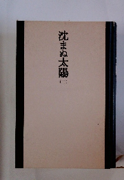 沈まぬ太陽 （三）